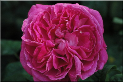 Sir Edward Elgar