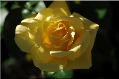 Goldene Heimat 05