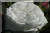 Boule de Neige