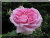 Ispahan